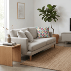 Fiesta Cushion