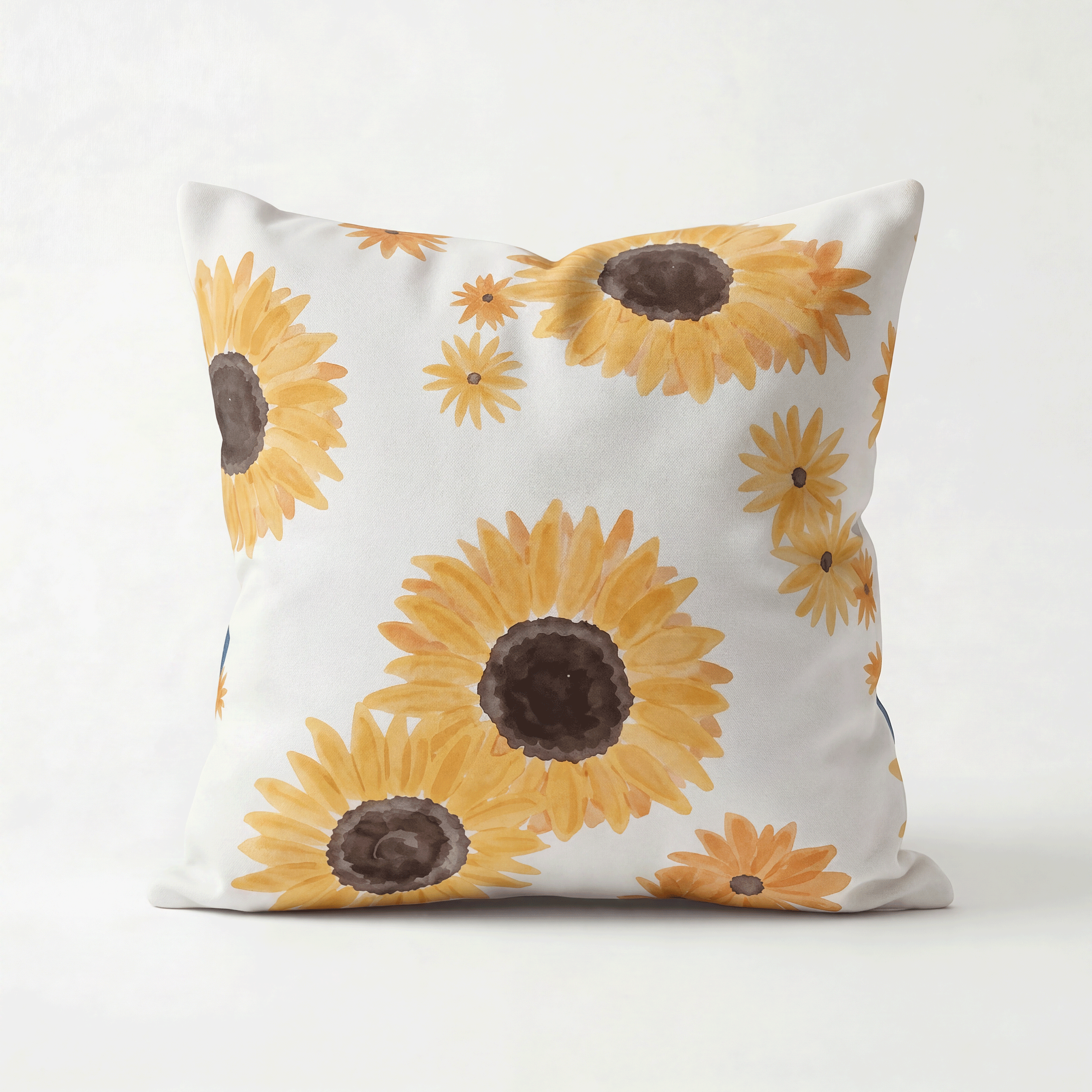 Solaris Cushion